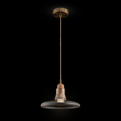 Подвесной светильник Maytoni Pendant P017PL-01BS