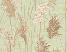 Обои 1009-5 Alessandro Allori Giorgio