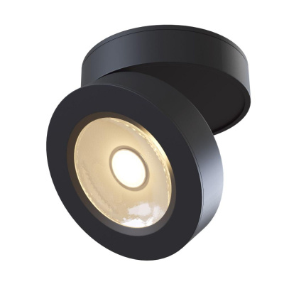 Потолочный светильник Technical Ceiling & Wall C022CL-L12B