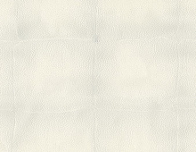 Обои RC17029 Roberto Cavalli Home 6