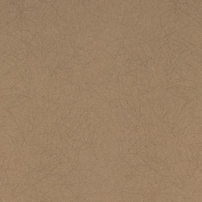 Обои 5068-65 Bernardo Bartalucci Legend