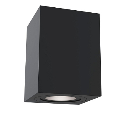 Потолочный светильник Technical Ceiling & Wall C017CL-01B