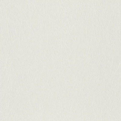 Обои 124507 Rasch Wallton