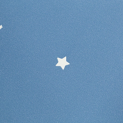 Обои HC72162-66 Home color Dream Home color коллекция Dream производства РОССИЯ в интернет-магазине Обоитрейд