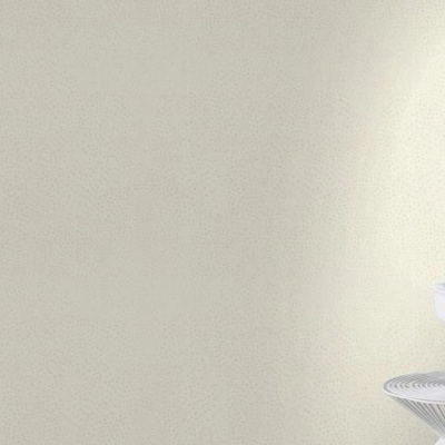 Обои 751536 Rasch African Queen 3