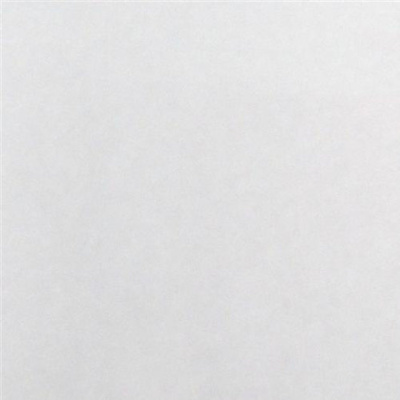 Обои 165814 Rasch Wallton