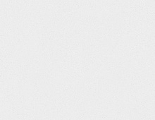 Обои 32728 Marburg New Spirit