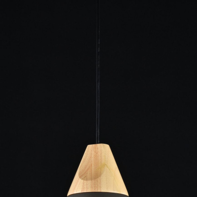 Подвесной светильник Maytoni Pendant P359-PL-220-C