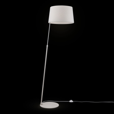 Торшер Maytoni Modern MOD613FL-01W