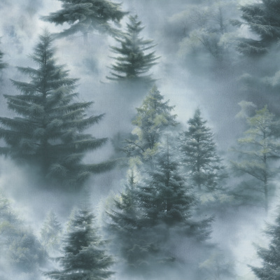 Обои HC72551-67  Palitra Life Ультрахром 3