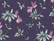 Обои HC71541-46 Home color Colibri