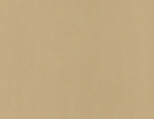 Обои 55421412 Caselio Pretty Lili