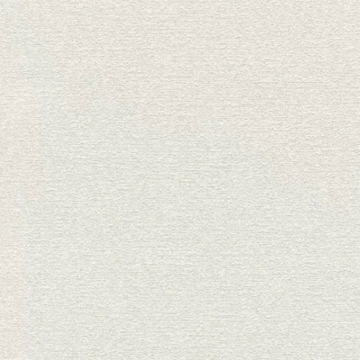 Обои 119404 Rasch Wallton