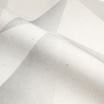 Обои TC71874-24 Trend Color Stories 2.0 Trend Color коллекция Stories 2.0 производства РОССИЯ в интернет-магазине Обоитрейд