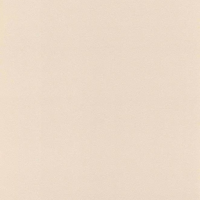 Обои 806830 Rasch Denzo 2 Rasch коллекция Denzo 2 производства Германия в интернет-магазине Обоитрейд