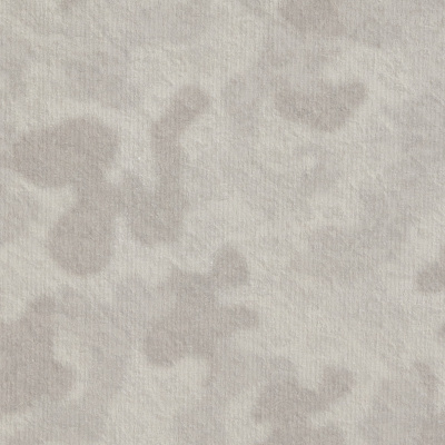 Обои R 24124 Fipar Meteora