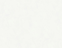 Обои W197001 Rasch Bright Whisper