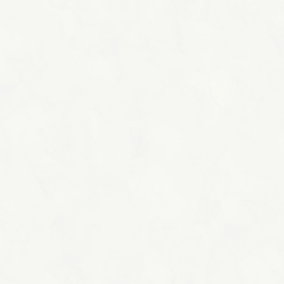 Обои W197001 Rasch Bright Whisper