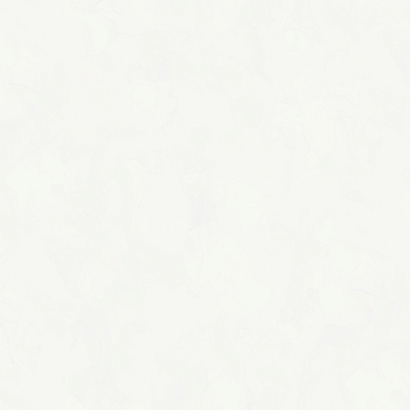 Обои W197001 Rasch Bright Whisper Rasch коллекция Bright Whisper производства  в интернет-магазине Обоитрейд