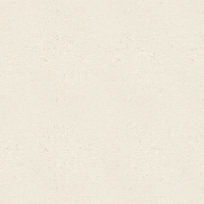 Обои 520828 Rasch Beltesto Rasch коллекция Beltesto производства Германия в интернет-магазине Обоитрейд