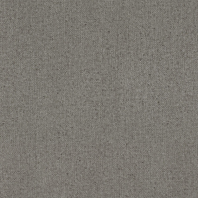 Обои 939132 Rasch Globe