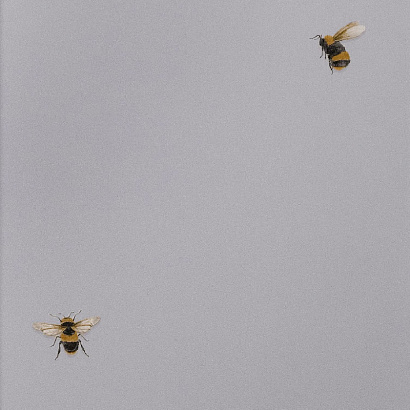 Обои 54419-3 Andrea Rossi Cavolli Andrea Rossi коллекция Cavolli производства Италия в интернет-магазине Обоитрейд