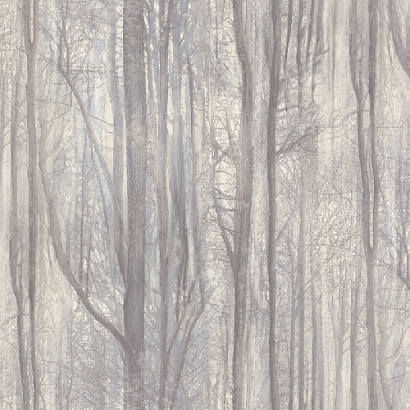 Обои 70392-65 R аспект Акцент Таинственный лес R аспект коллекция Акцент Таинственный лес производства РОССИЯ в интернет-магазине Обоитрейд