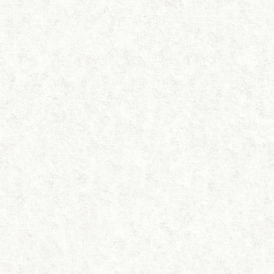 Обои WP0110803 Paper Partnership Patterdale