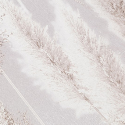 Обои VV72086-28 VOG Cortaderia VOG коллекция Cortaderia производства РОССИЯ в интернет-магазине Обоитрейд