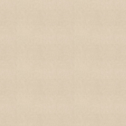 Обои 990355 Rasch Unitex Rasch коллекция Unitex производства  в интернет-магазине Обоитрейд