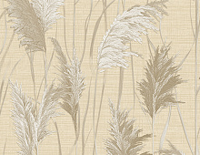 Обои 1009-3 Alessandro Allori Giorgio