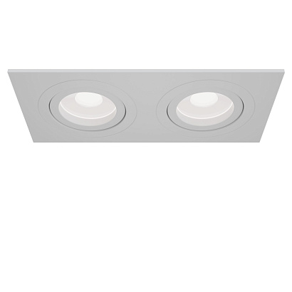 Встраиваемый светильник Technical Downlight DL024-2-02W