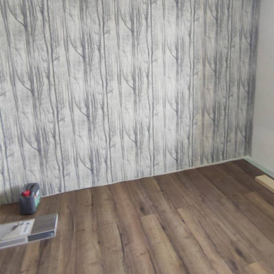 Обои 70392-44 R аспект Акцент Таинственный лес