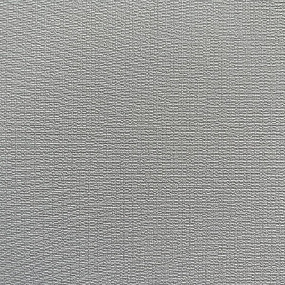 Обои 54381-6 Andrea Rossi Spectrum Pro Andrea Rossi коллекция Spectrum Pro производства Италия в интернет-магазине Обоитрейд