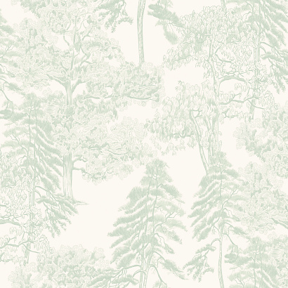 Обои AM5 008/1 Milassa Ambiplain 4 Milassa коллекция Ambiplain 4 производства  в интернет-магазине Обоитрейд