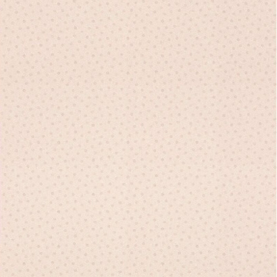 Обои 253047 Rasch Bambino XIX