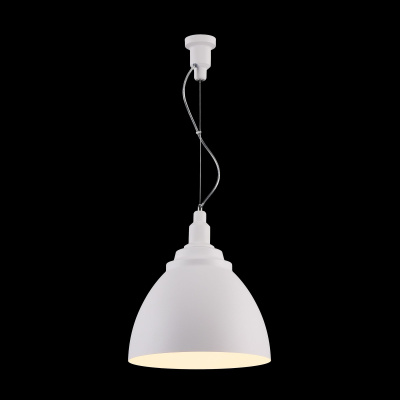 Подвесной светильник Maytoni Pendant P535PL-01W