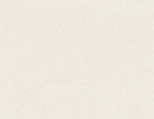 Обои 607239 Rasch Passepartout