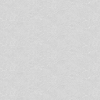 Обои W190123 Rasch Bright Whisper