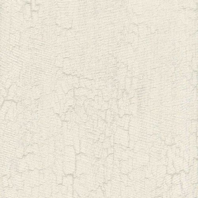 Обои RC16016 Roberto Cavalli Home 5