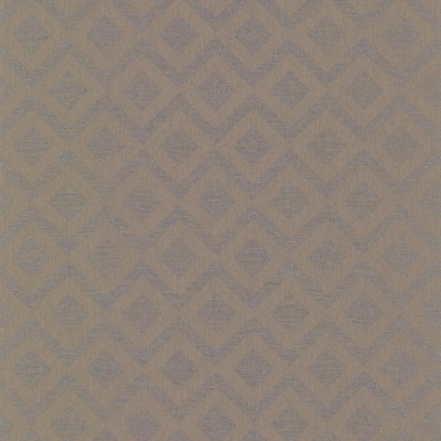 Обои DL23058 Fine Decor Evolve