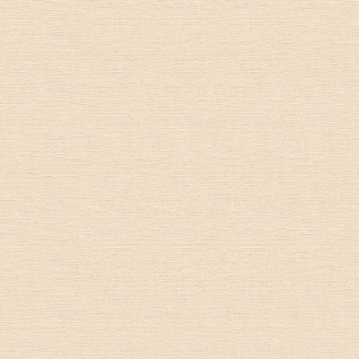 Обои 30689-6 AS Creation Mia+Paul