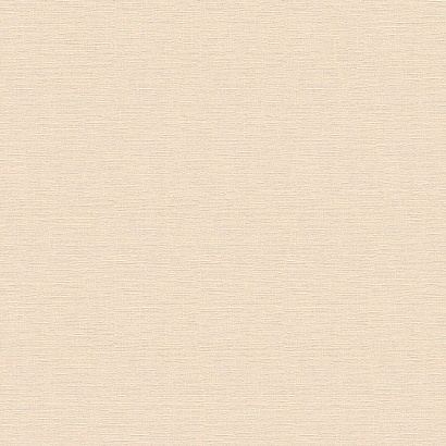 Обои 30689-6 AS Creation Mia+Paul AS Creation коллекция Mia+Paul производства Германия в интернет-магазине Обоитрейд