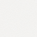Обои W189126 Rasch Bright Whisper
