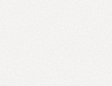 Обои W189126 Rasch Bright Whisper