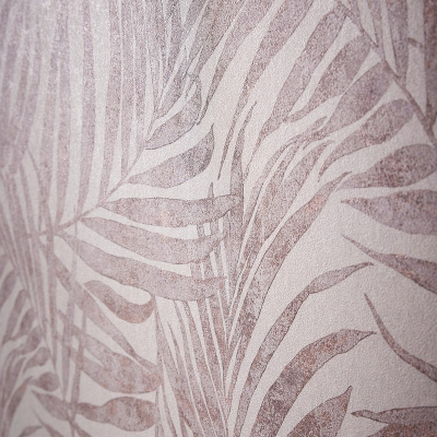 Обои 617436 Rasch Linares