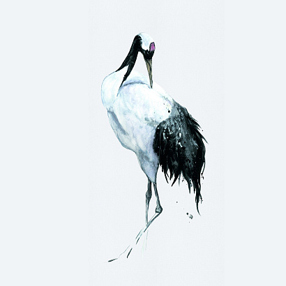 Обои 34594 Marburg Otaru/Kumano Marburg коллекция Otaru/Kumano производства Германия в интернет-магазине Обоитрейд