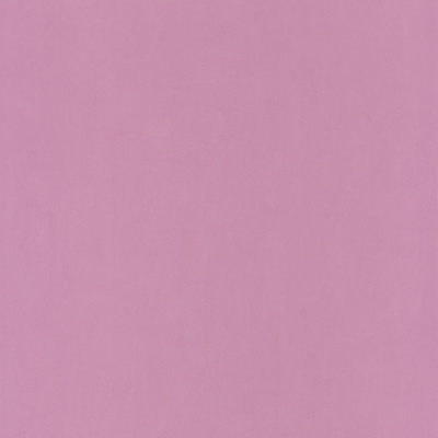 Обои 66325302 Caselio Pretty Lili