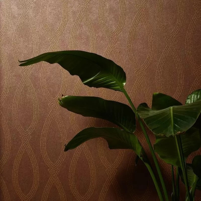 Обои 32018 Marburg Memento