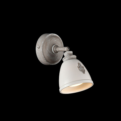 Спот Maytoni Spot SP289-CW-01-BG